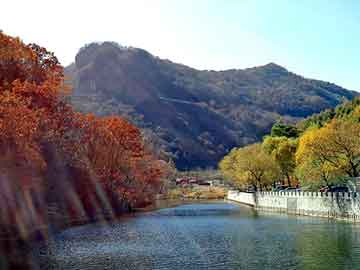 澳门二四六天天免费好材料，水洗高岭土